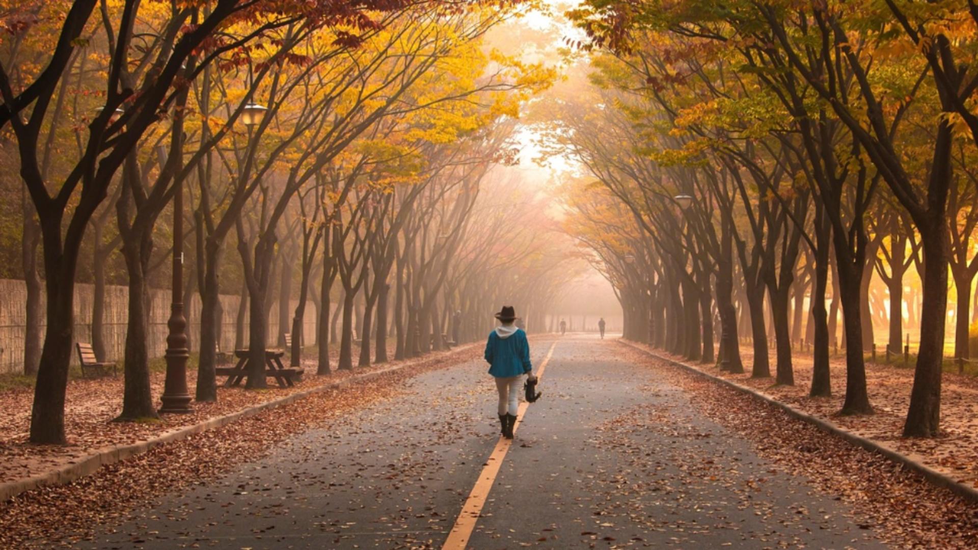 Meteorologii anunţă temperaturi peste cele obişnuite în această perioadă, până aproape de sfârşitul lunii noiembrie