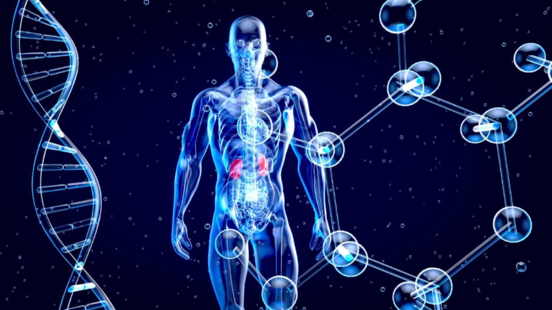 Cercetătorii au identificat fragmente de ADN extraterestru în genomul uman