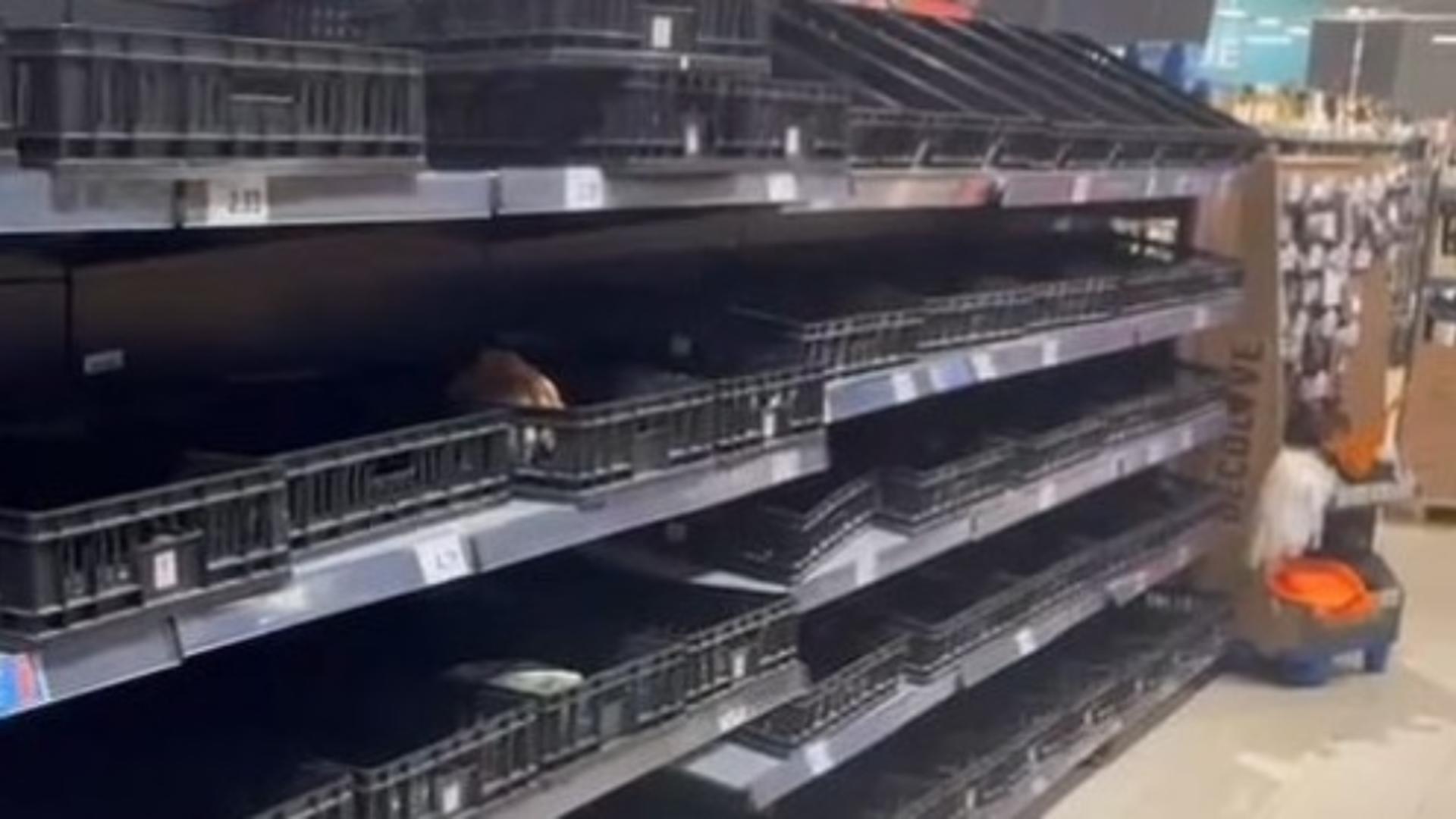 Rafturile mai multor magazine din Constanța, golite de oamenii care-și fac provizii înainte de potopul de Cod Roșu - FOTO