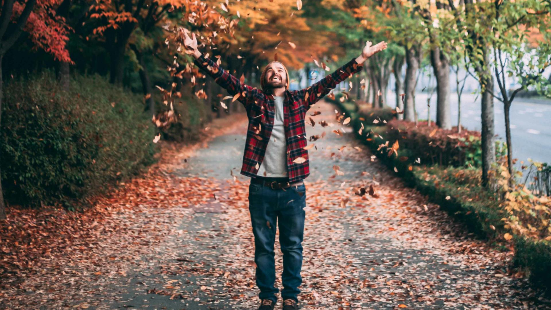 Care sunt cele mai benefice zile ale lunii noiembrie, pentru fiecare zodie în parte