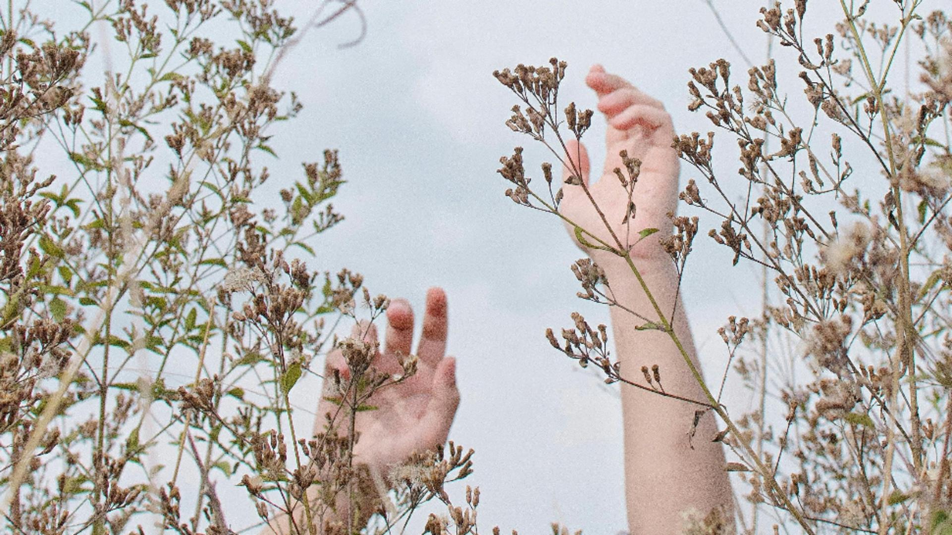 Zodii care vor trece printr-o transformare profundă începând cu 21 octombrie 2025. Vor renaște din propria cenușă