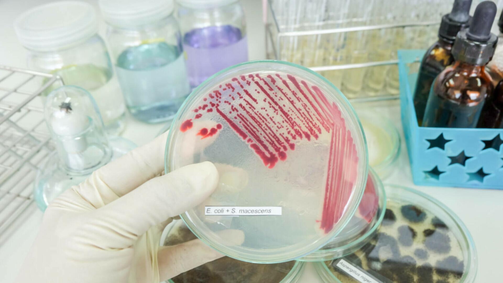 Cum putem preveni infecțiile nosocomiale și salva viețile copiilor: lecții după tragedia de la Iași