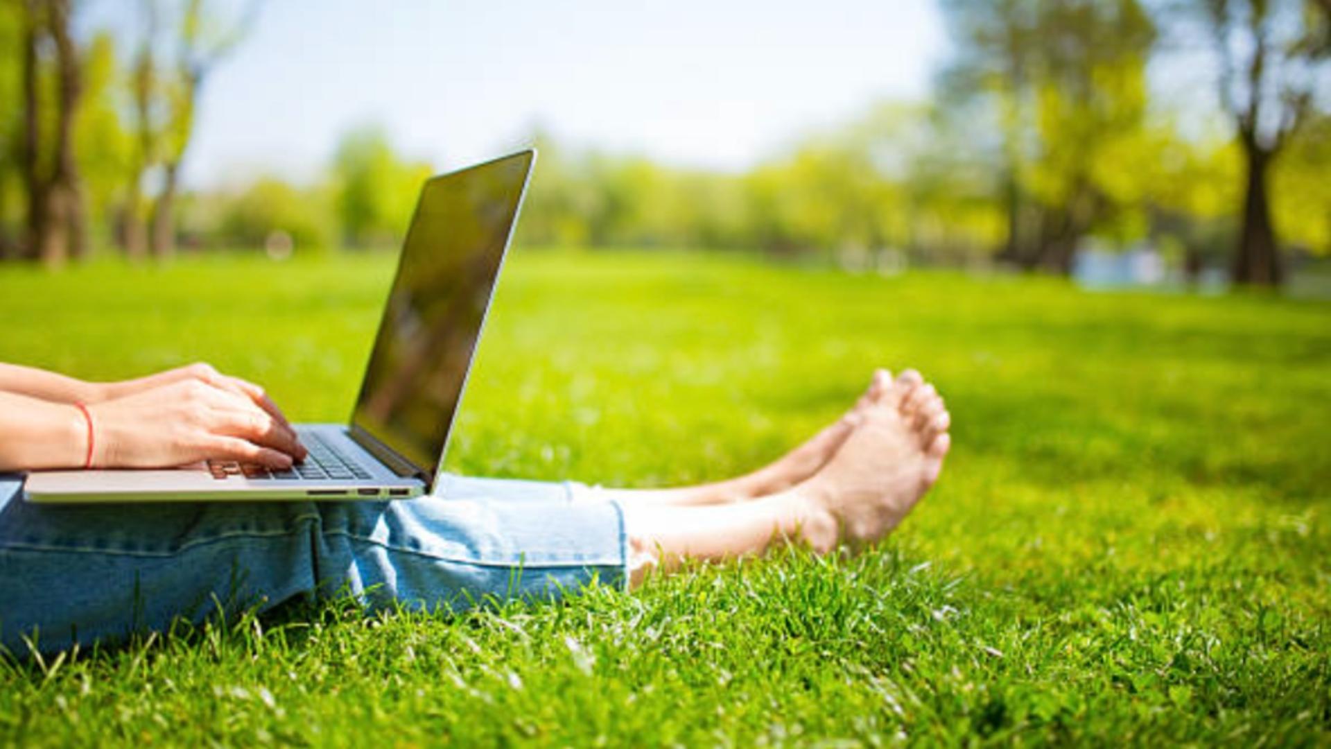 Spațiile verzi – o călătorie comparativă între Haga, Washington, Oslo, București