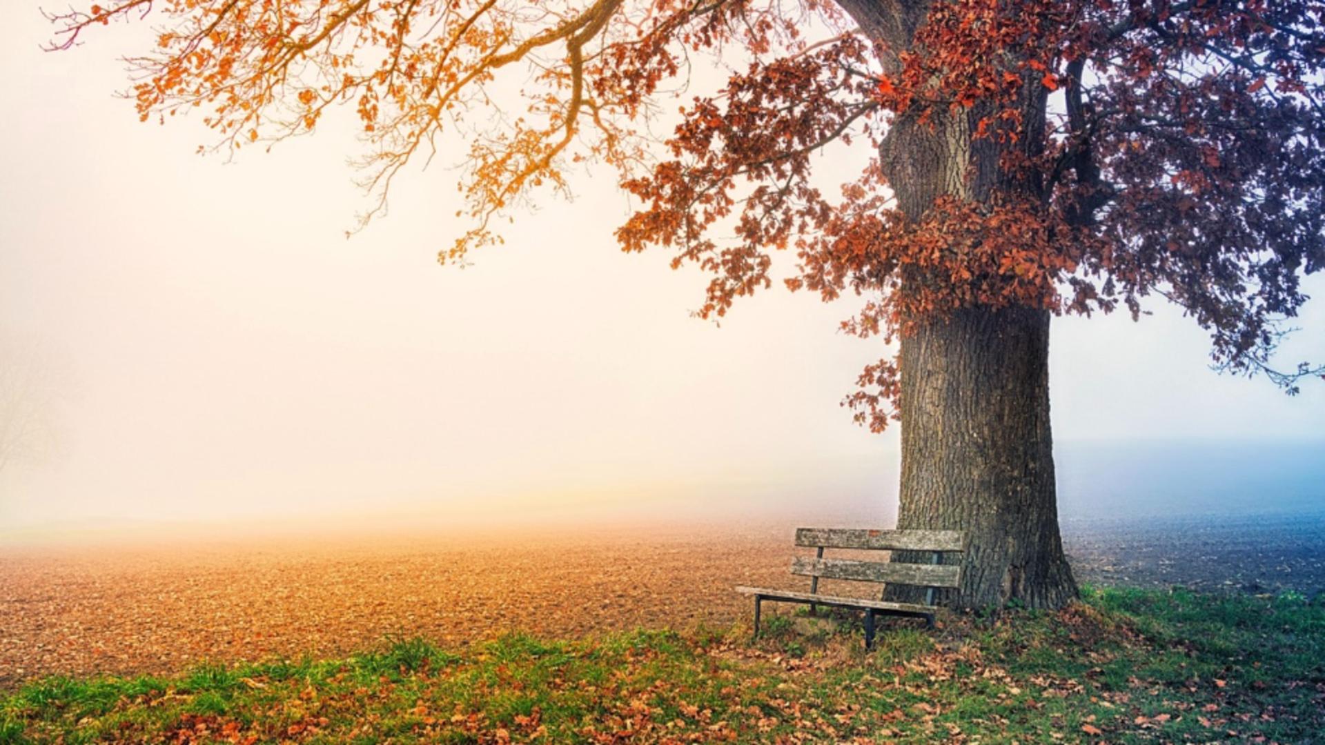 Prognoza meteo 4 decembrie. Vreme mai caldă decât normalul perioadei, ceață și vânt puternic în unele zone