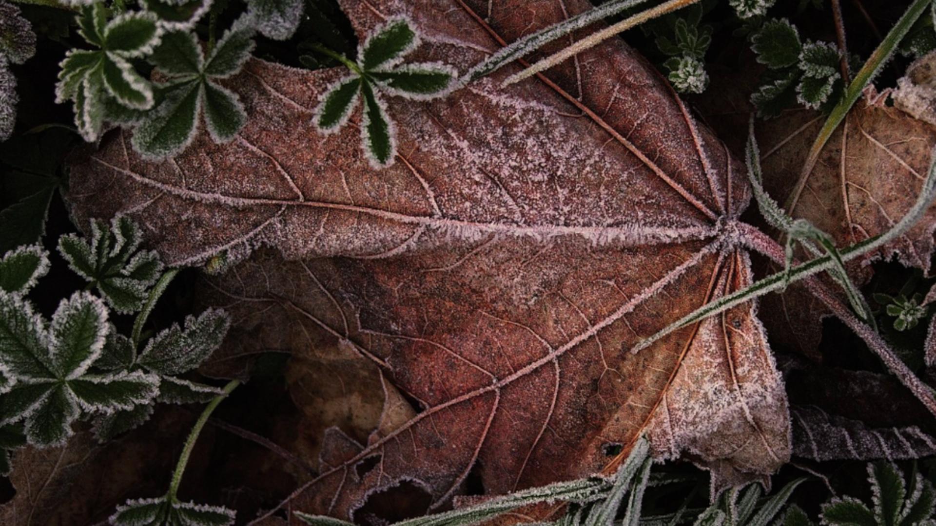 CODUL GALBEN de vânt puternic a fost extins. Val de frig peste România 