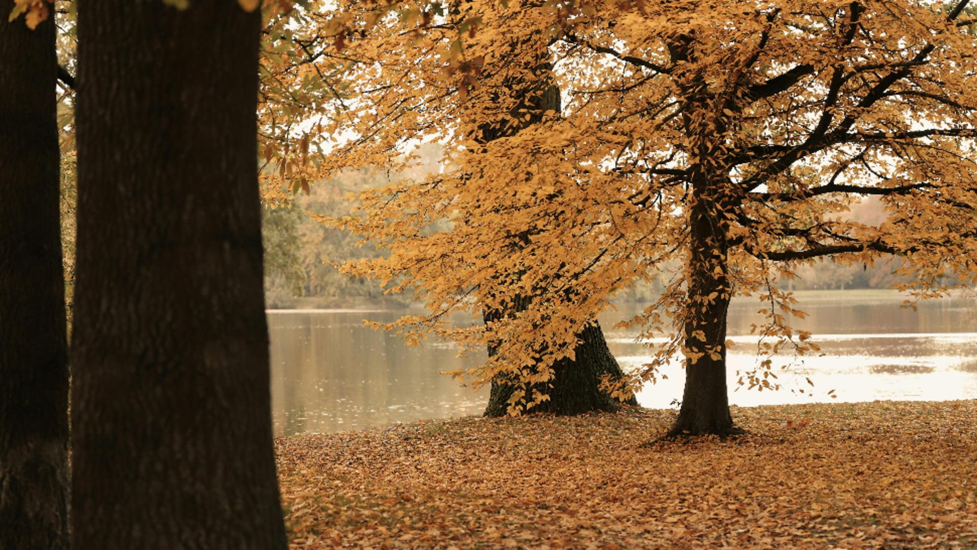 Cum va fi vremea în luna octombrie. Când scăpăm de frig și ploi?