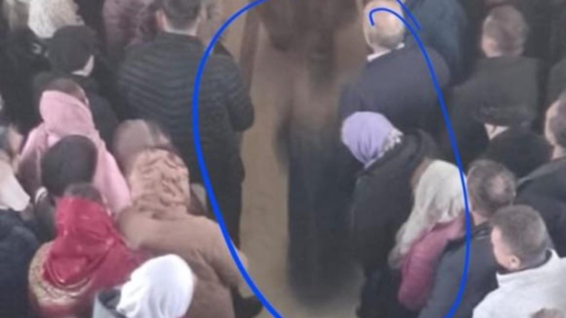 Apariție misterioasă la o parohie din Vaslui. Foto: Facebook