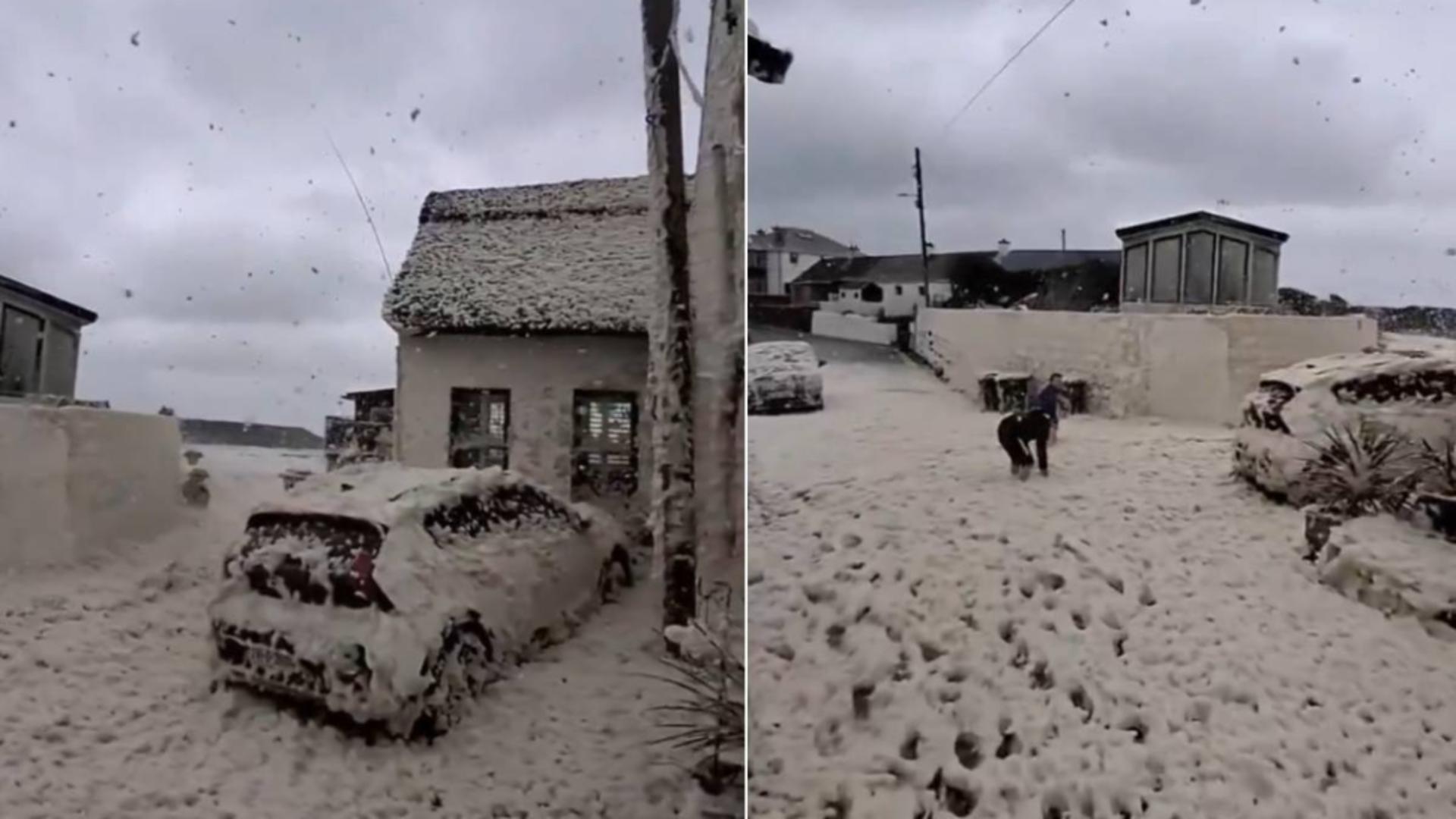 Spumă de mare la mal