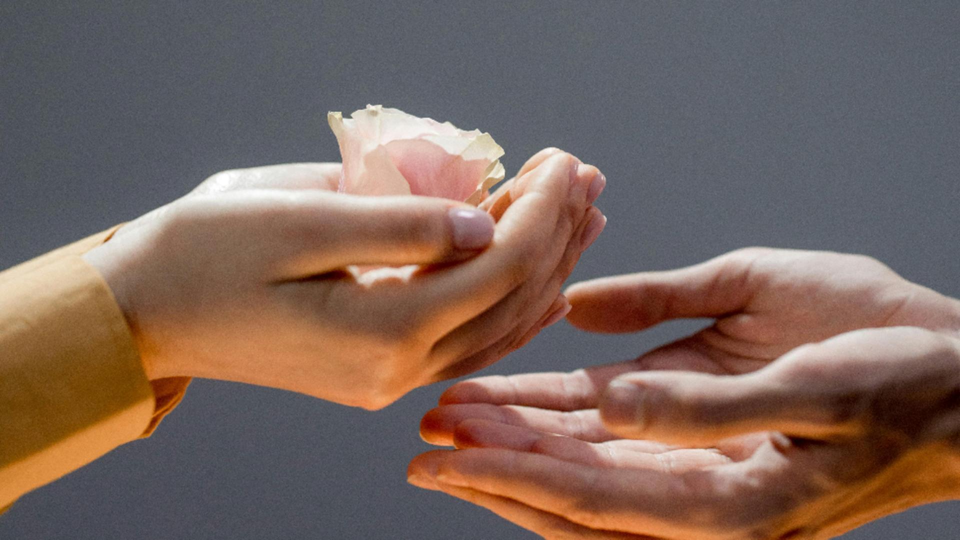 Zodiile care se sacrifică mereu pentru cei aflați în nevoie. Acești nativi sunt cei mai empatici