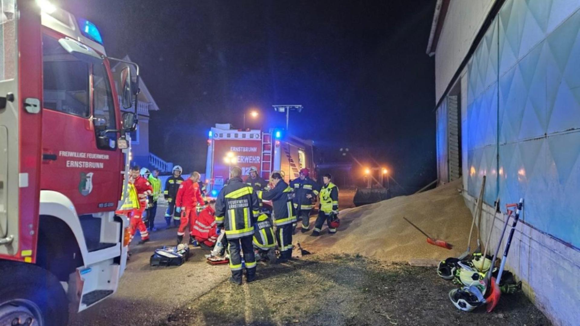 Un român de 21 de ani a murit îngropat într-un siloz de cereale (Foto: Kurier)