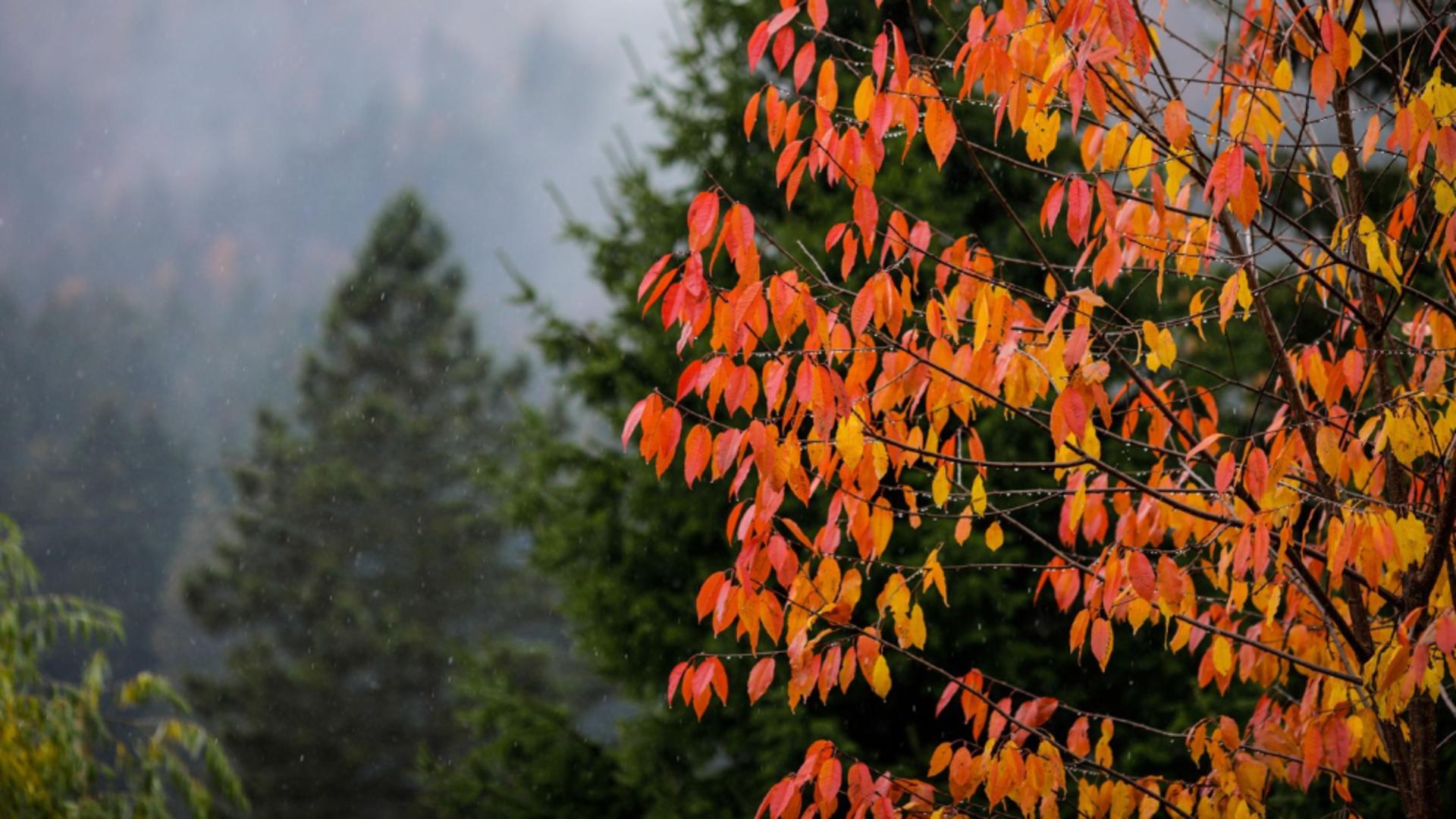Schimbare bruscă a vremii de la mijlocul săptămânii: după zile calde urmează o răcire severă/ Profimedia