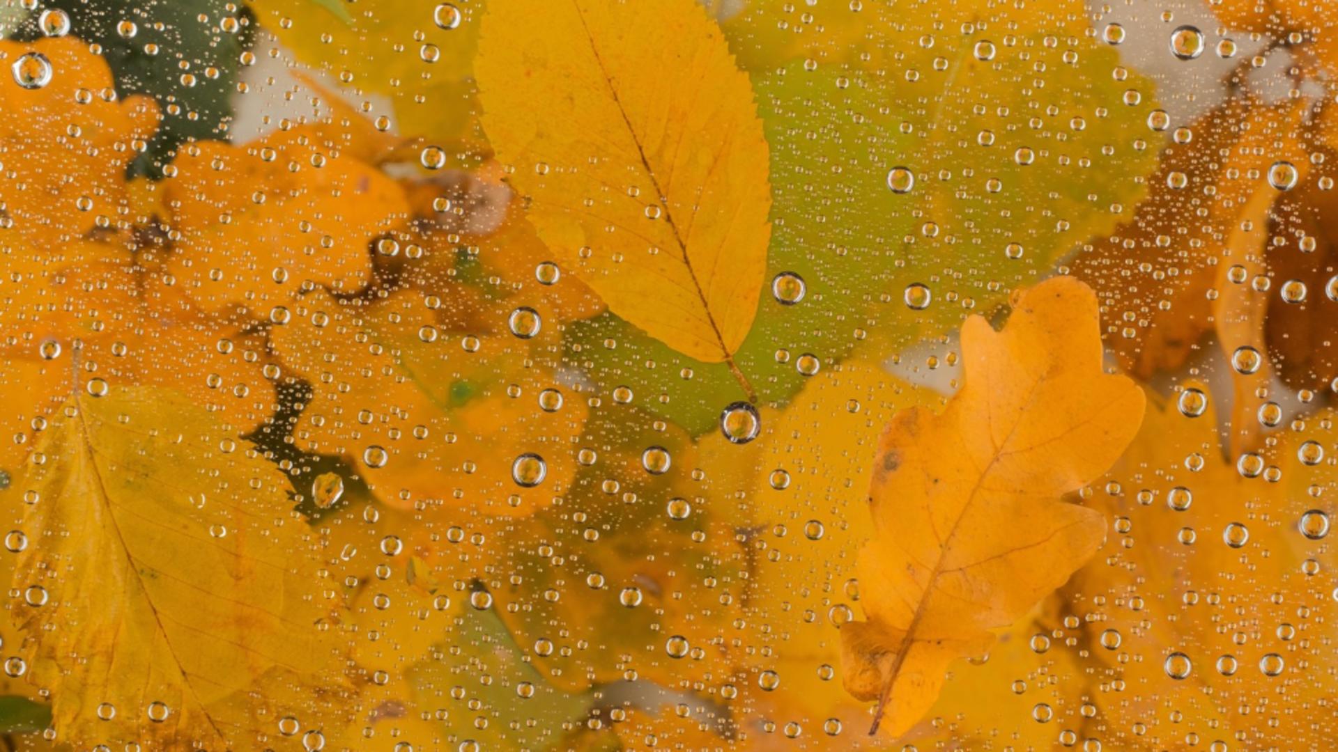Prognoza meteo18 noiembrie. Vreme mohorâtă și vânt puternic: temperaturile scad semnificativ/ Foto: Profimedia