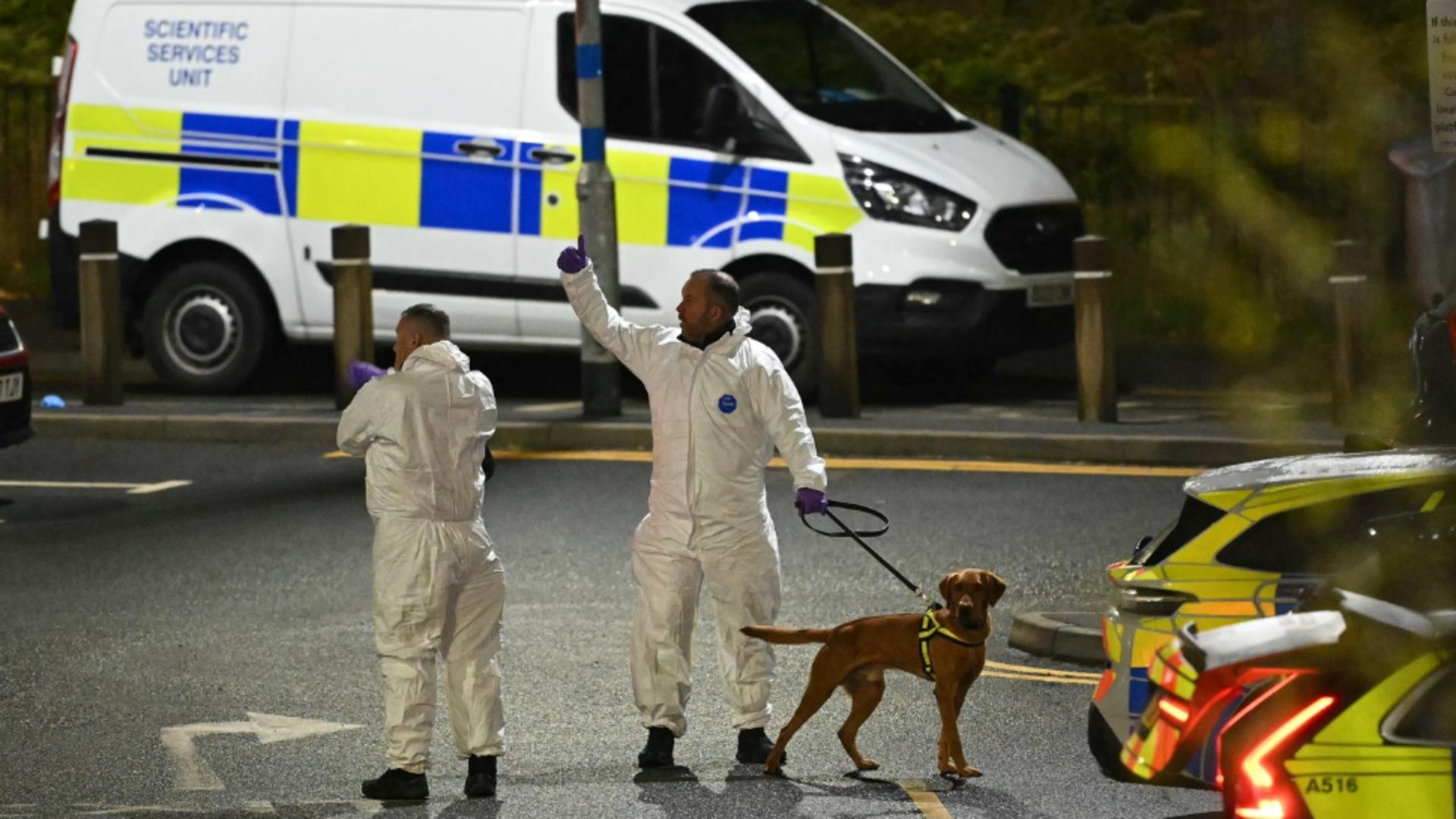Efective impresionante au cercetat garnitura de tren (Profimedia)