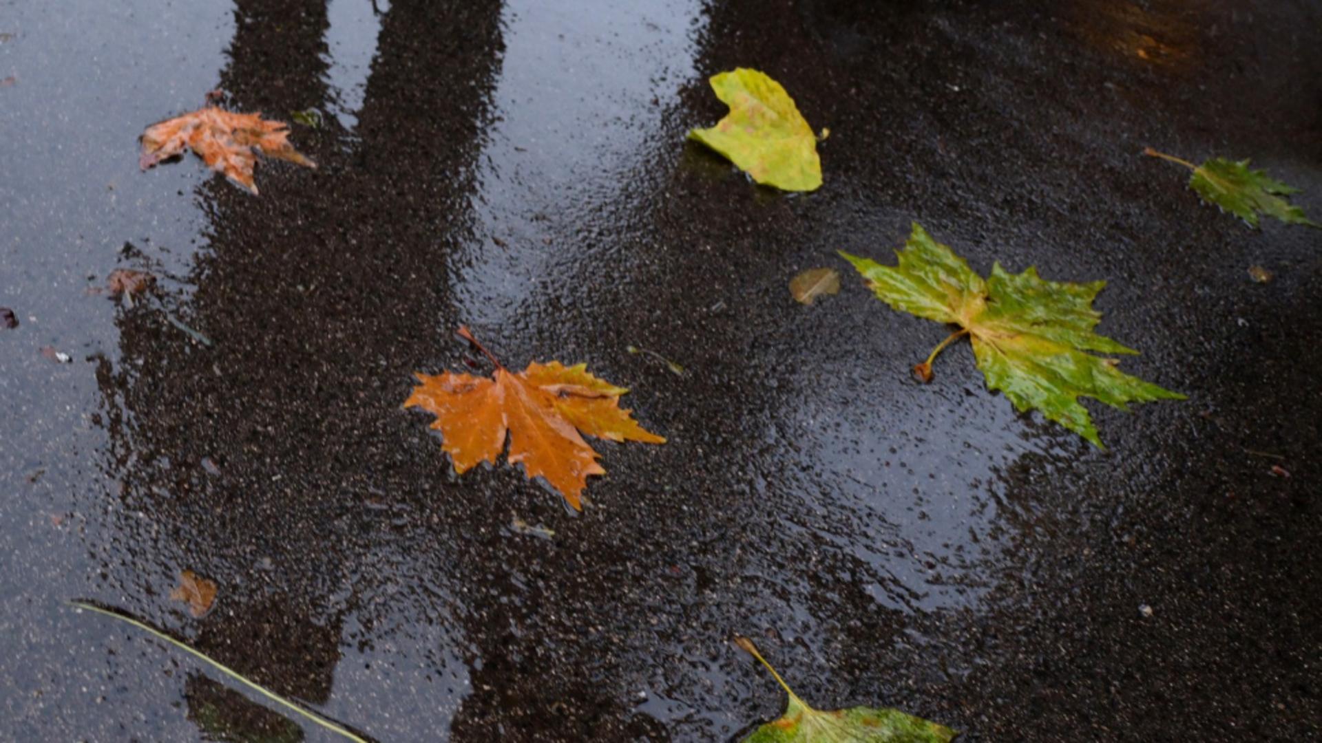 Schimbare radicală a vremii: de miercuri, ploi, vânt și temperaturi în scădere accentuată. La munte sunt așteptate ninsori/ Profimedia