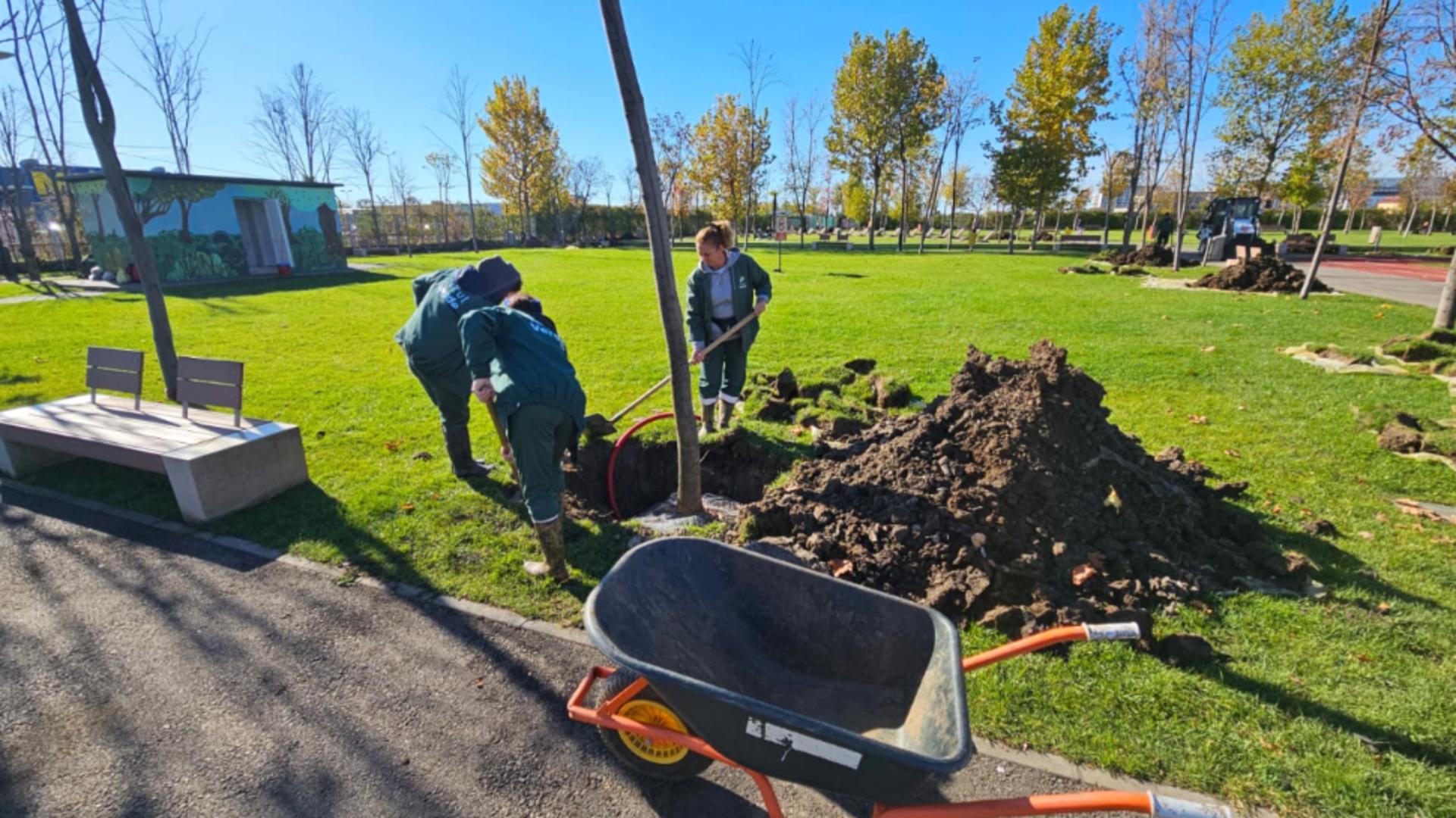 Parcul Tudor Arghezi