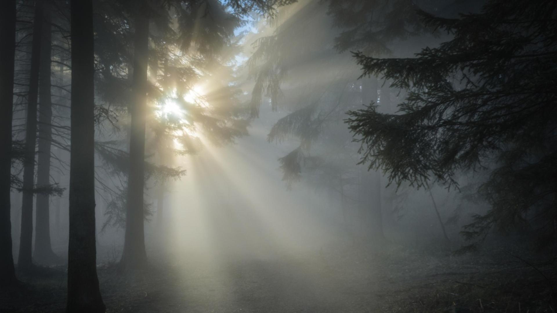 Vreme de toamnă de Crăciun (foto: arhivă)