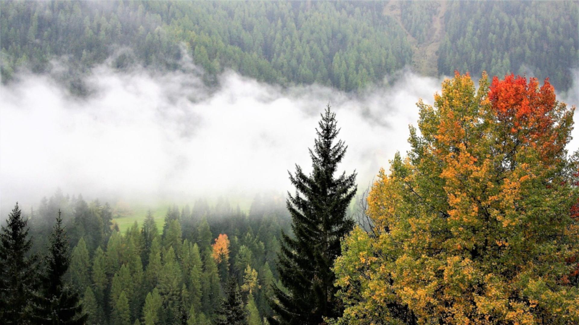 5 locuri perfecte de vizitat în noiembrie