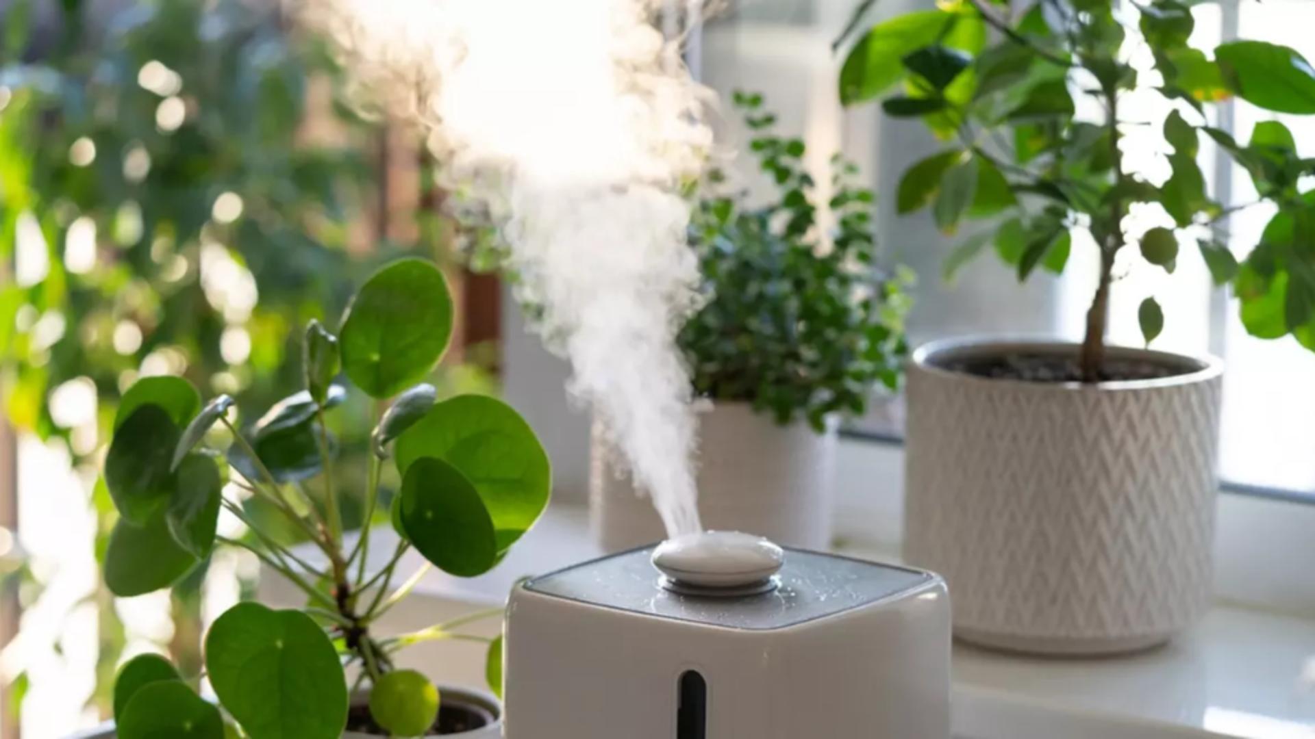 Cât trebuie să fie umiditatea în casă la final de toamnă