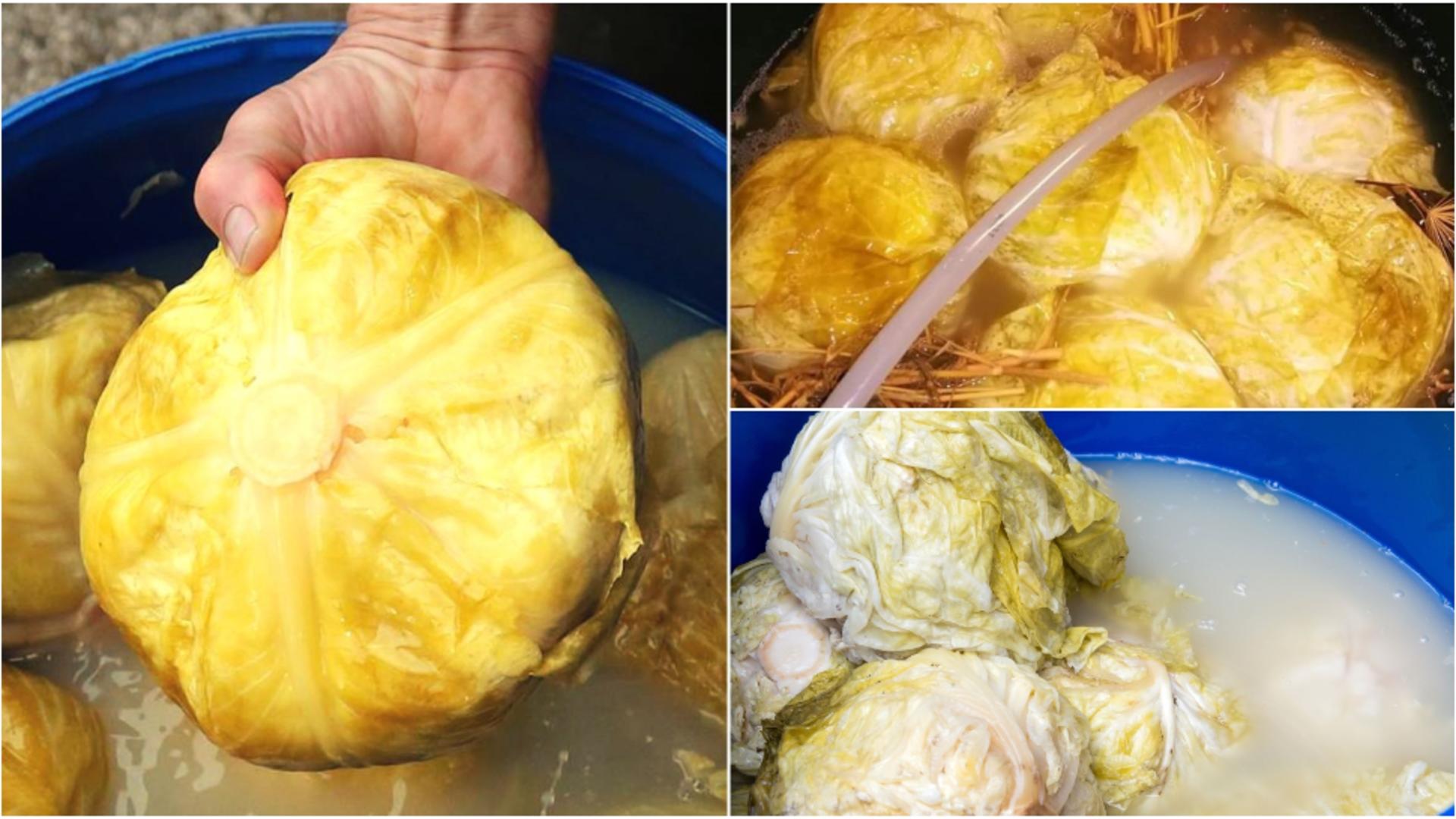 Cu ce se limpezește zeama de varză