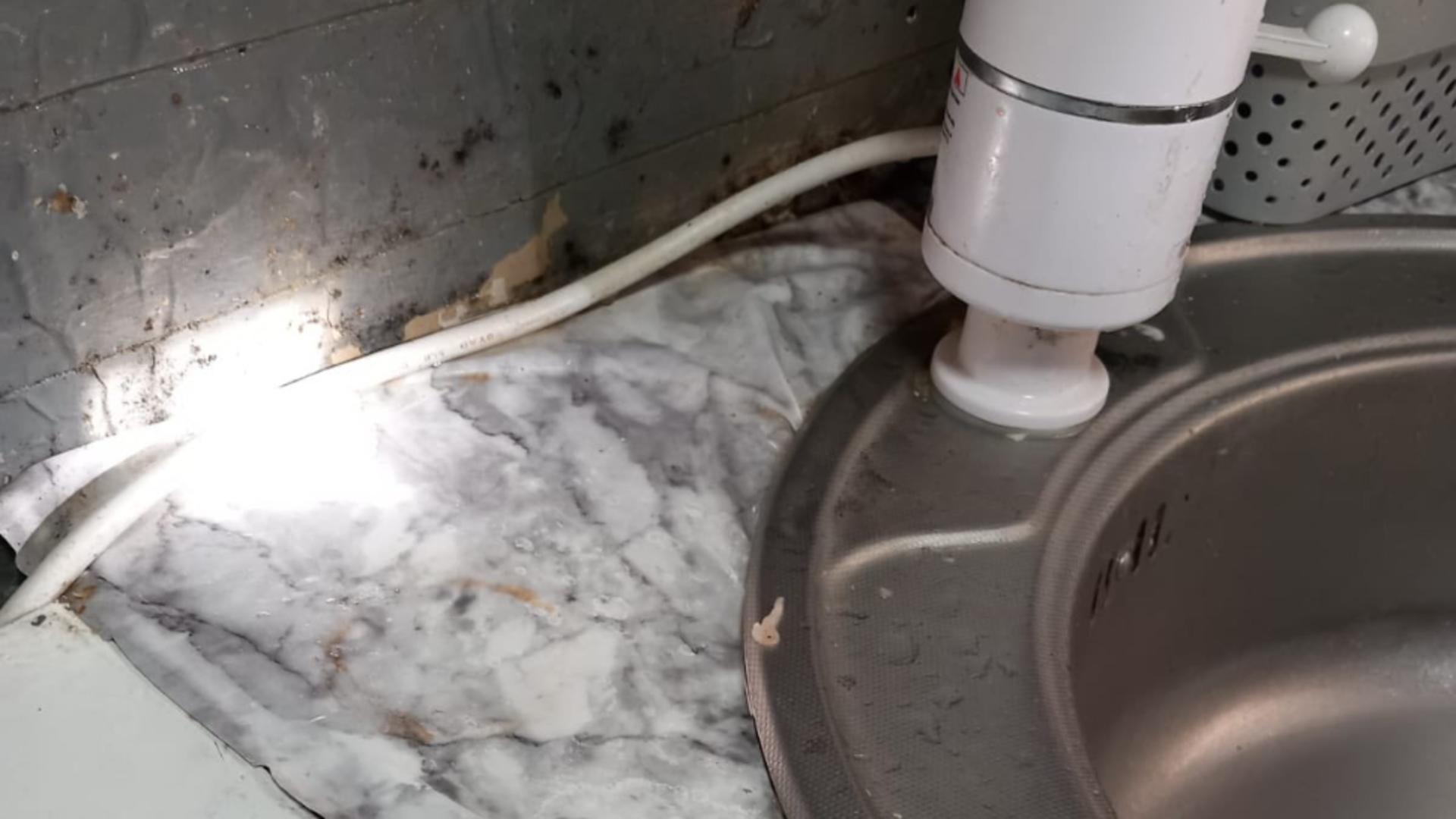 Amenzi record pentru restaurante și magazine: peste 4 milioane de lei aplicate de ANPC/ Foto: Facebook