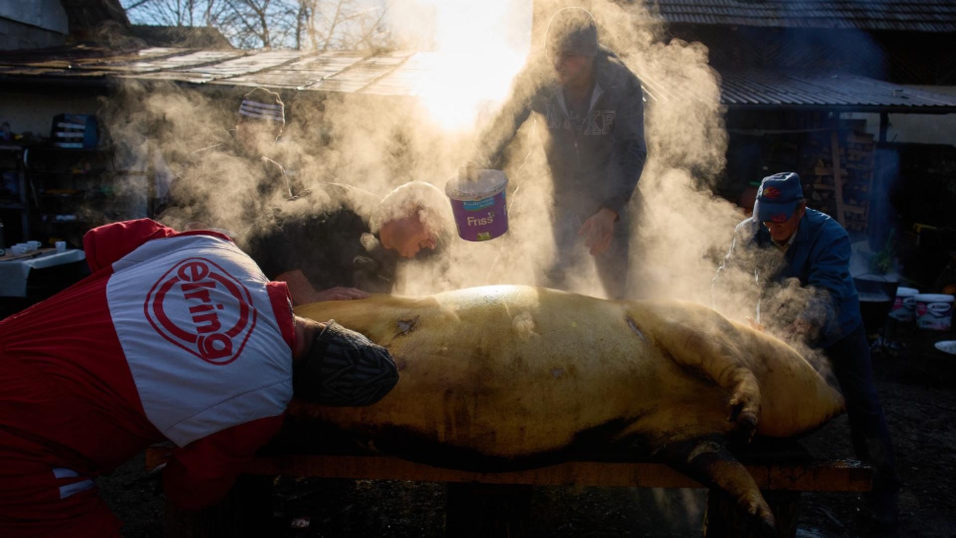 Incident grav la tăierea porcului. Un bărbat și-a înjunghiat partenerul de pahar
