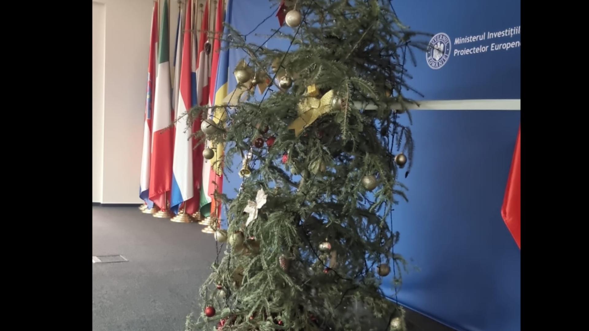 Bradul progresiștilor e ponosit și stă să cadă. Imaginea care spune mai mult decât o mie de discursuri