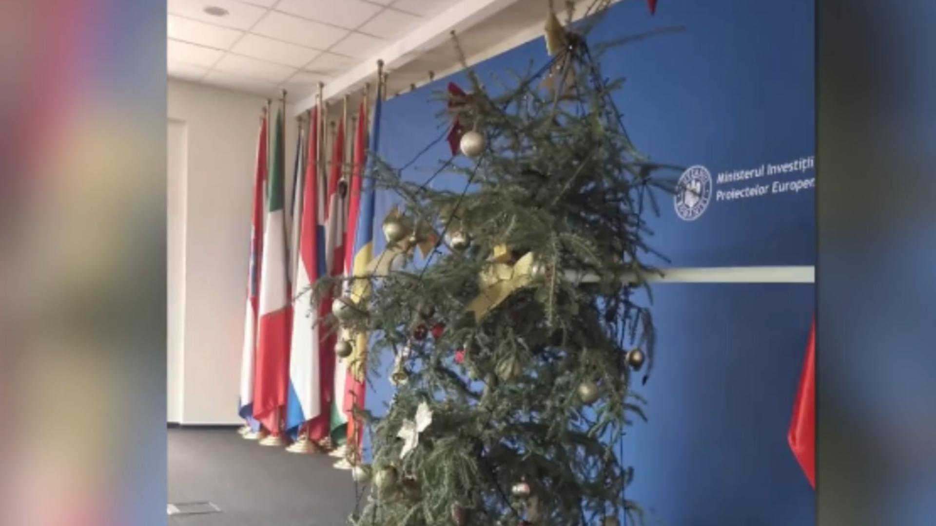 Brad de Crăciun „ca după război” la ministerul lui Pîslaru: imagine jenantă pentru o instituție publică/ Captură video