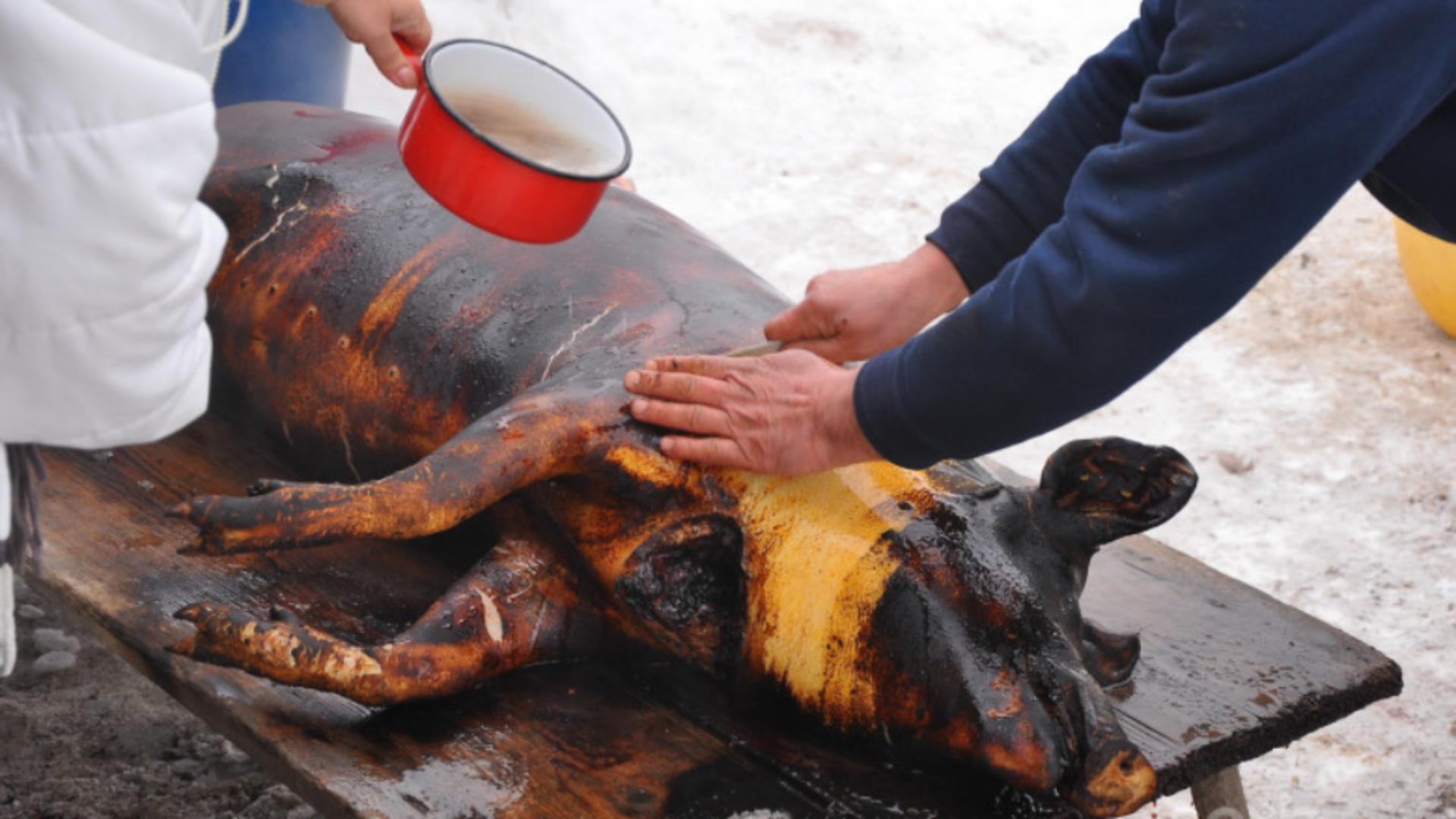 Pe ce dată se taie porcul? Obiceiul de Ignat pe care românii l-au moștenit din moși-strămoși