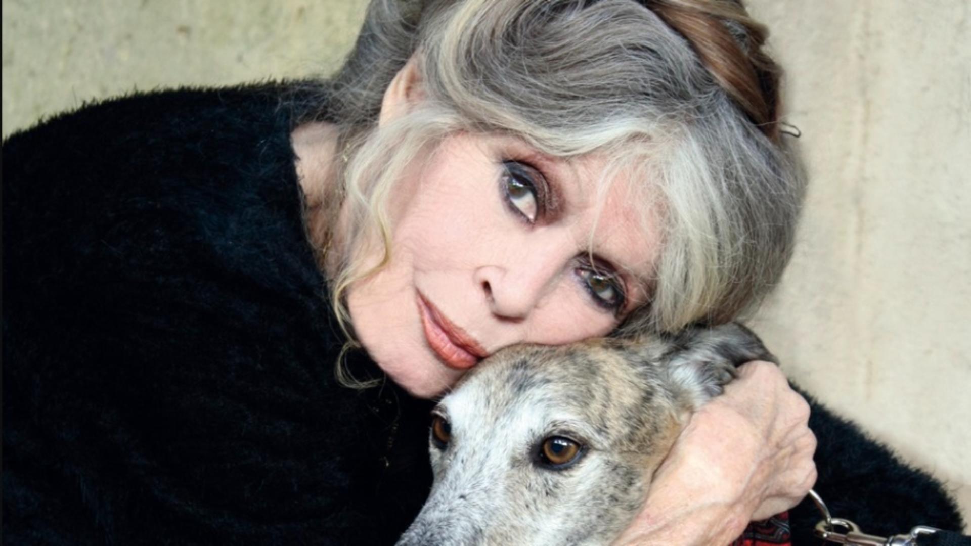 La 91 de ani, Brigitte Bardot trimite un mesaj pentru fanii săi după o nouă internare în doar o lună