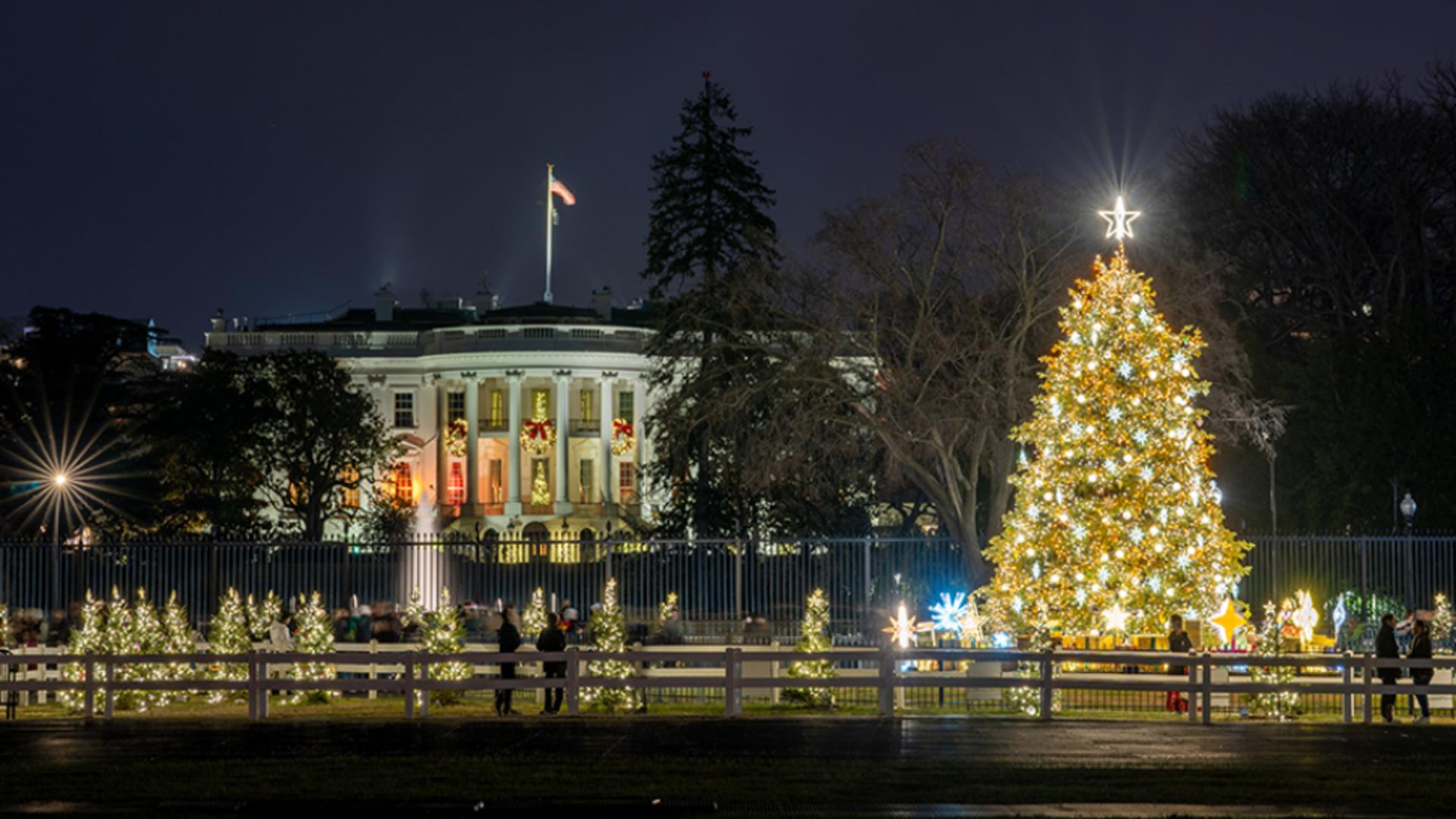 Prima felicitare de Crăciun după revenirea la Casa Albă. Cum au ales Trump și Melania să se afișeze în fotografiaoficială