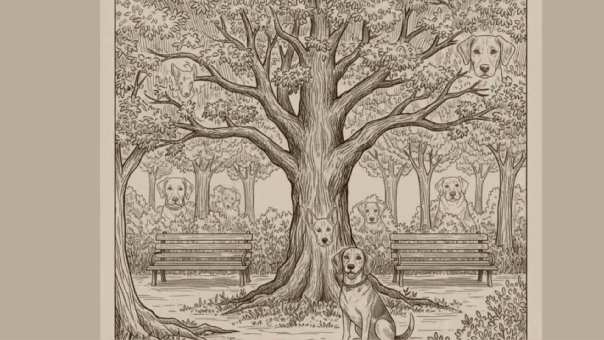 Test IQ pentru cei mai deștepți români. Află câți câini se ascund, de fapt, în această iluzie optică?