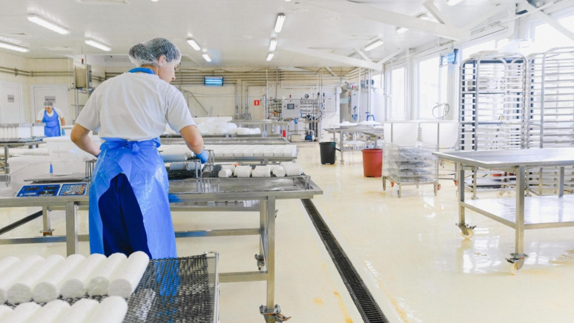 Polonia domină industria alimentară din Europa Centrală și de Est. România iese din topul marilor producători