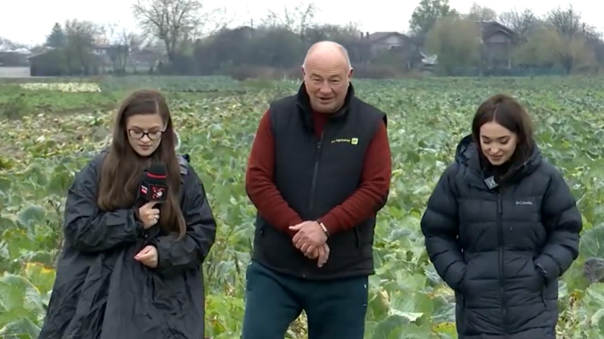 Realitatea Plus arată adevărul pe care guvernanții încearcă să-l ascundă. Cum este distrusă agricultura românească - REPORTAJ