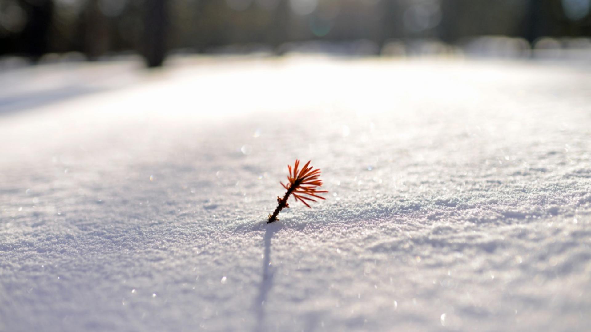 Cea mai scurtă zi din 2025, tot mai aproape: când are loc solstițiul de iarnă