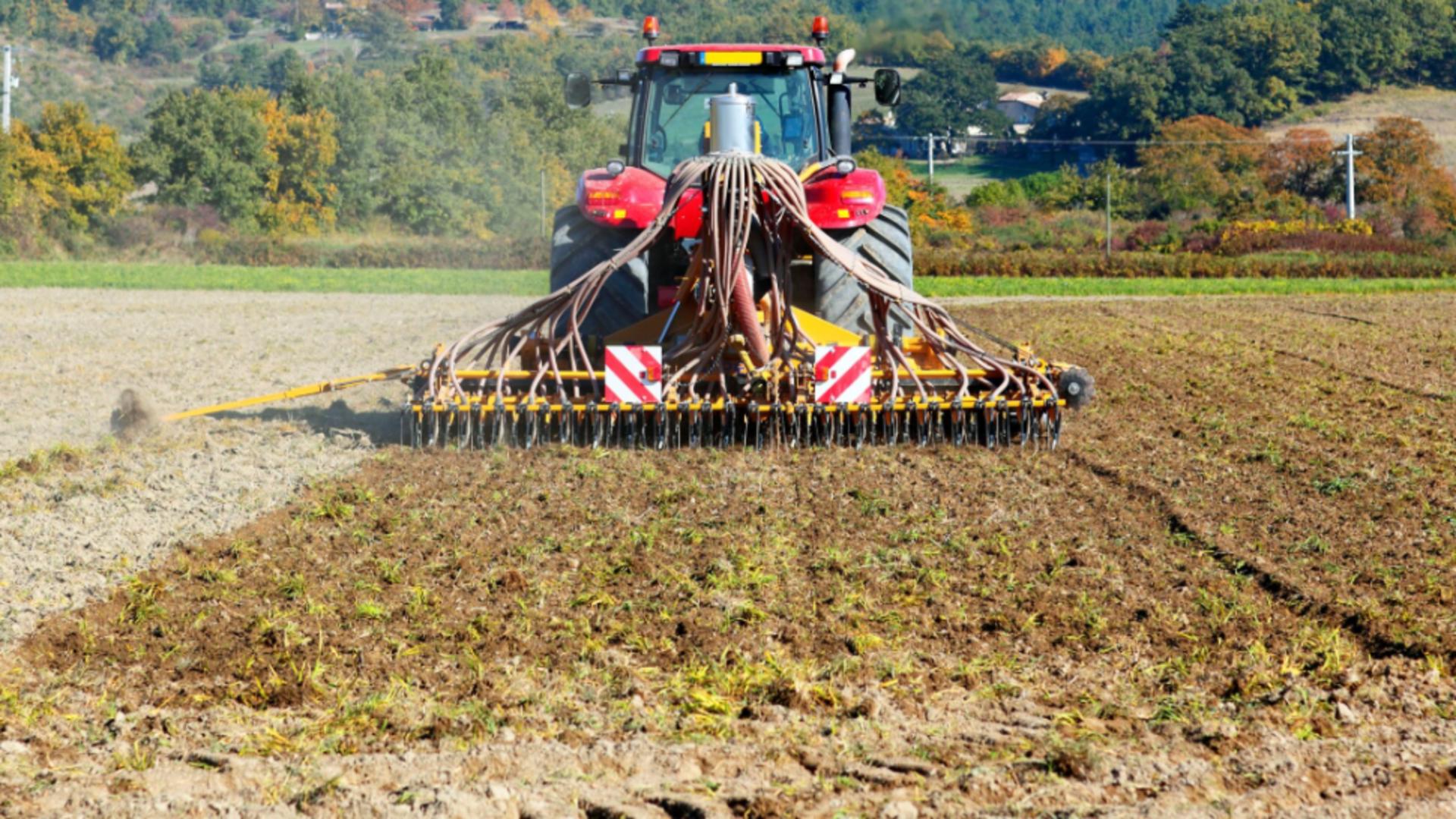 Cât a ajuns să coste un hectar de teren arabil în România. Diferențe uriașe față de alte state din Uniunea Europeană