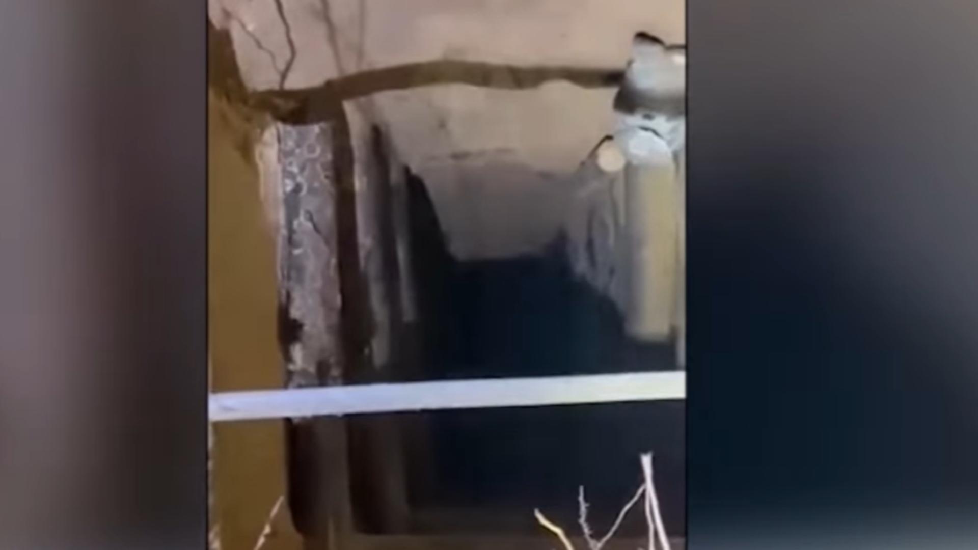 Tunel secret descoperit la granița Poloniei cu Belarus. Peste 180 de migranți au trecut prin el - VIDEO