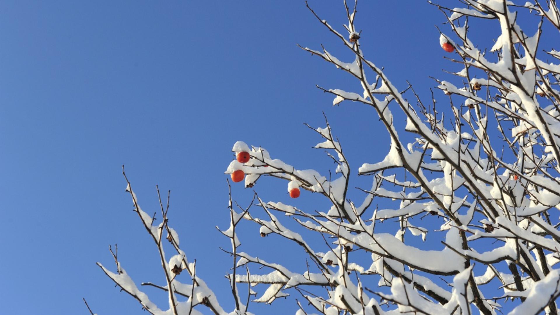 Vremea se schimbă săptămâna viitoare: meteorologii anunță scăderea temperaturilor. Ce ne așteaptă înainte de Crăciun?