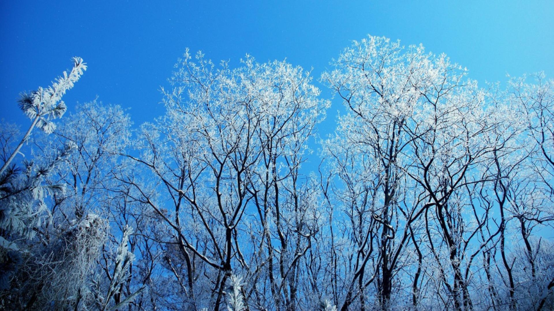 Vreme severă în România, duminică 28 decembrie: vânt puternic, ninsori extinse și viscol extrem la munte