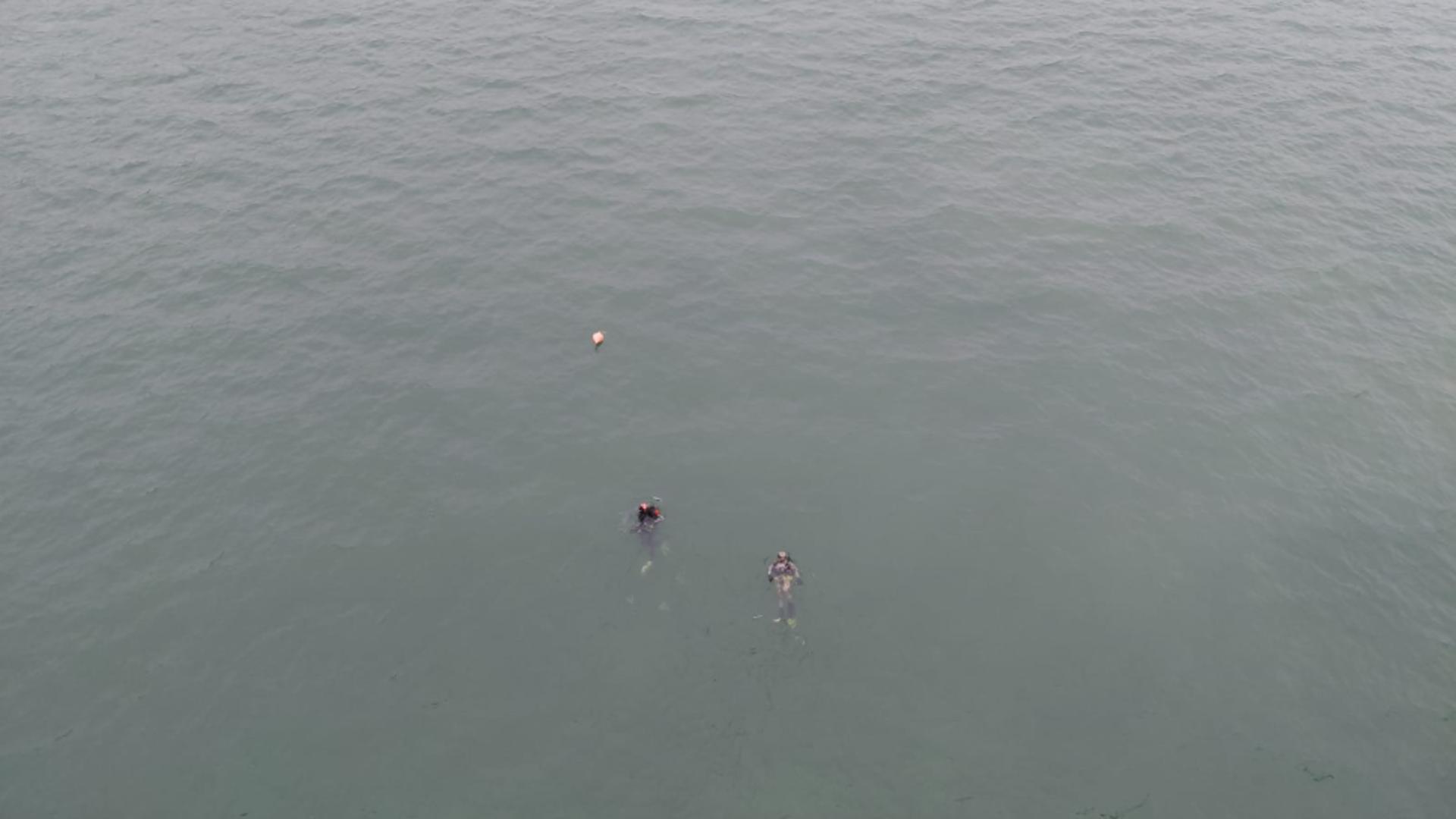 Alertă pe podul de la Agigea! O persoană s-ar fi aruncat în Dunăre. Scafandrii au întrerupt căutările fără să găsească nimic - VIDEO