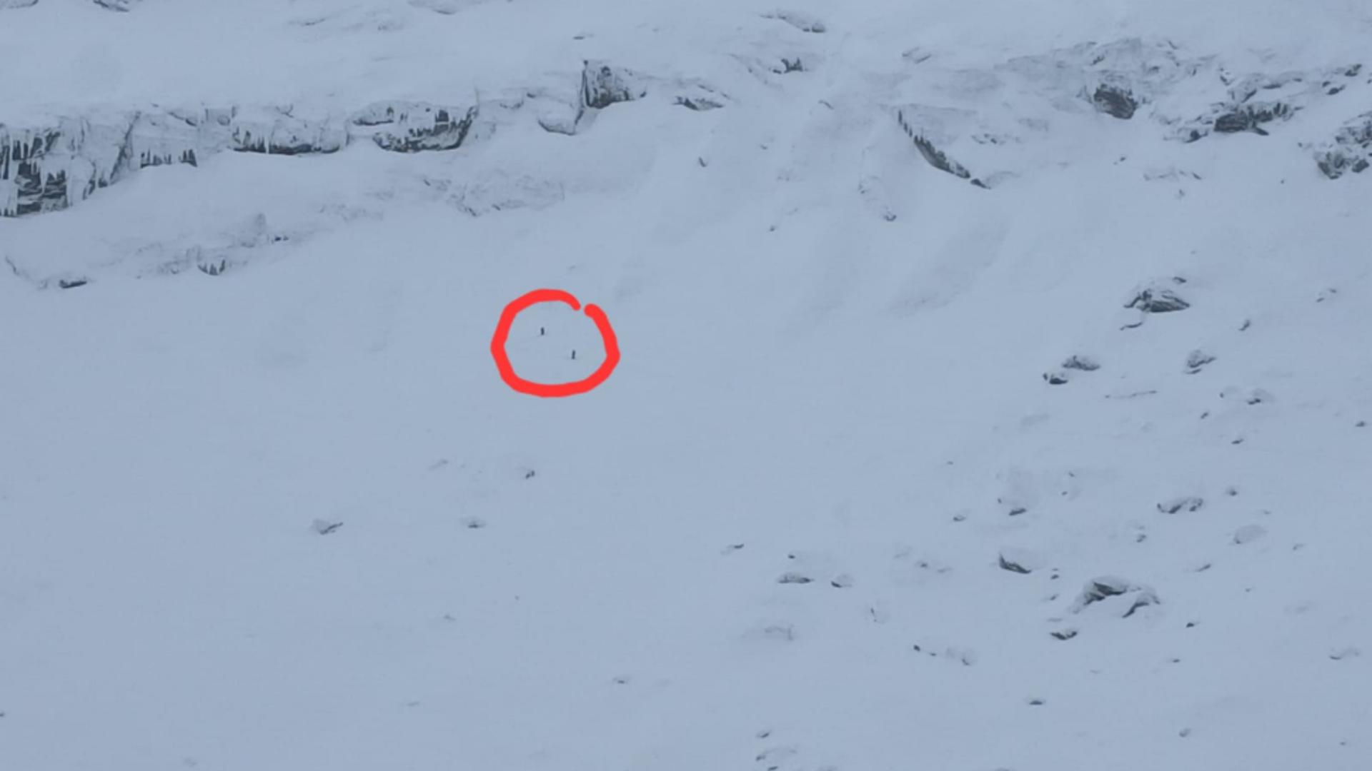 O avalanșă de mari dimensiuni a avut loc în Munții Făgărașului. Doi schiori se aflau în zonă | VIDEO