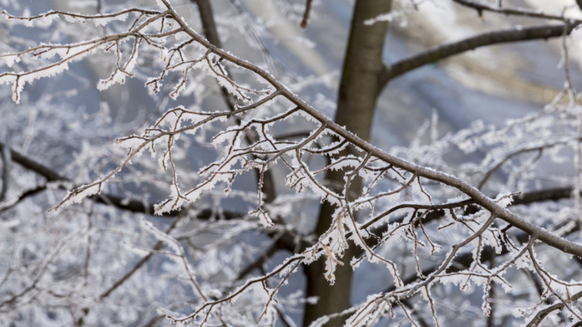 Alertă de călătorie de la MAE. O țară aflată în apropierea României se confruntă cu cod portocaliu de ploi torențiale și ninsori abundente