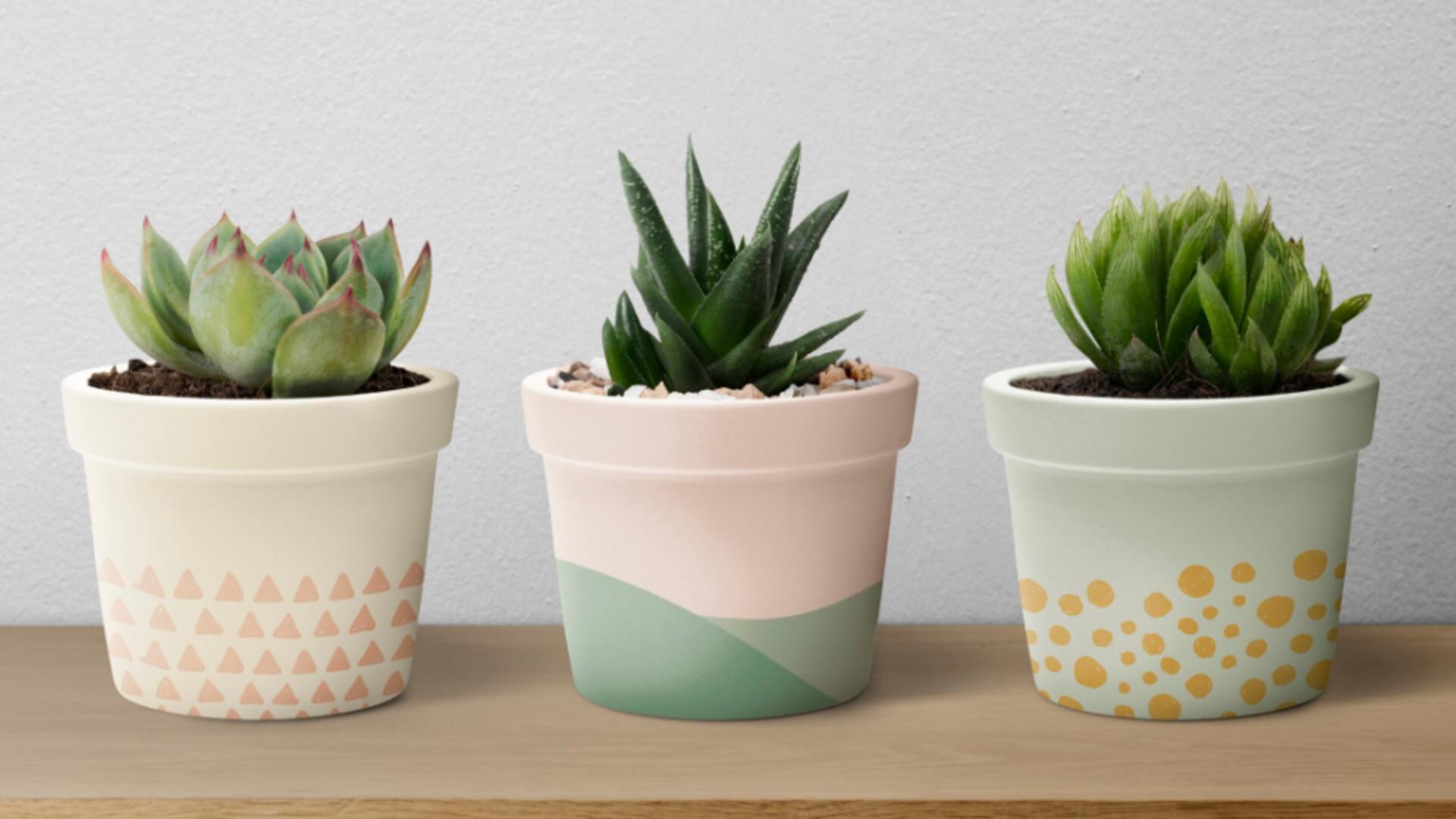 UE a pus tunurile pe banalele ghivece de flori