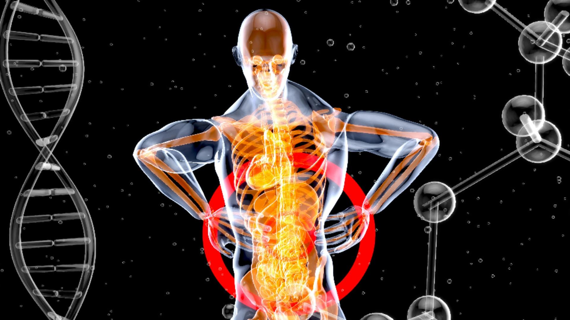 Obiceiul care îți poate prelungi viața. Ce au descoperit oamenii de știință.