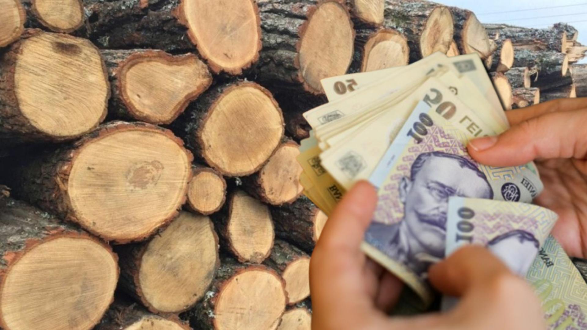 Iarna sărăciei la sat. Bătrânii stau în frig pentru că lemnele sunt mult prea scumpe -VIDEO