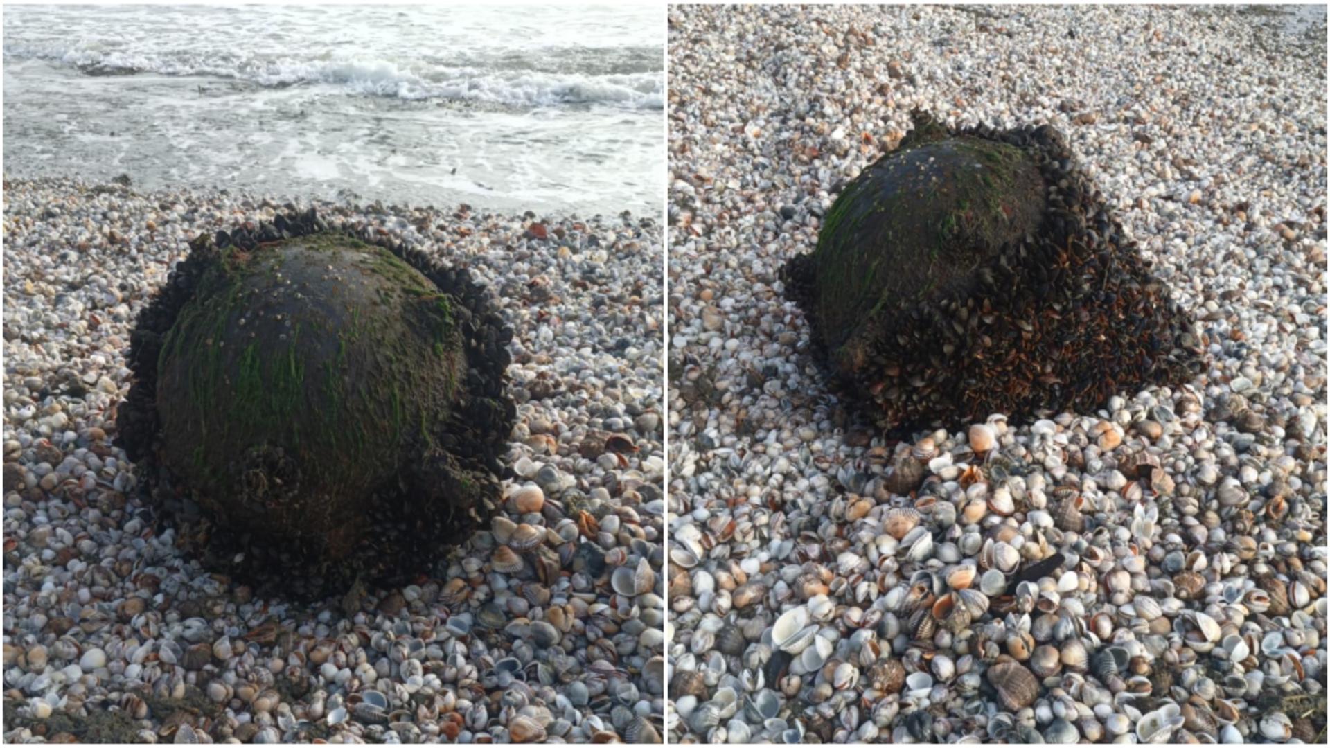 Alertă la Marea Neagră