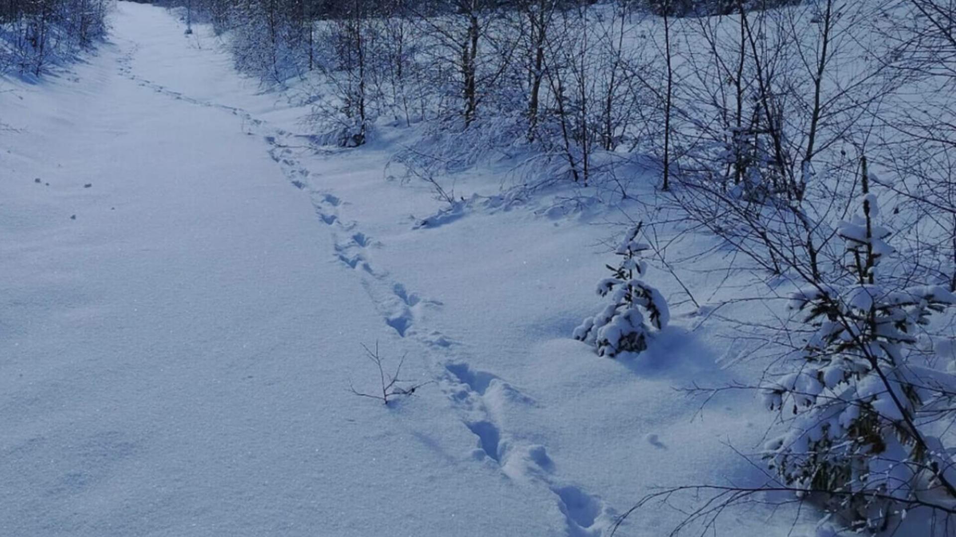 Salvamont Suceava anunță care sunt traseele montane pe care turiștii trebuie să le evite. Lista locurilor unde oamenii sunt în mare pericol