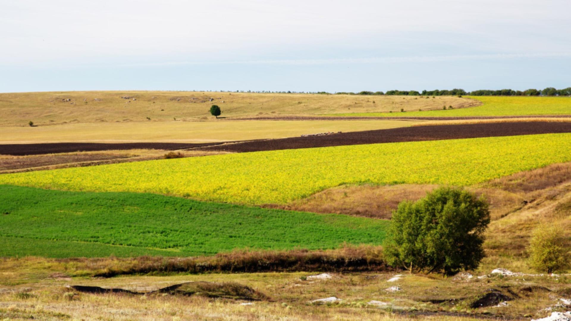 Zona din România unde un hectar de teren a ajuns să se vândă cu 280.000 de euro