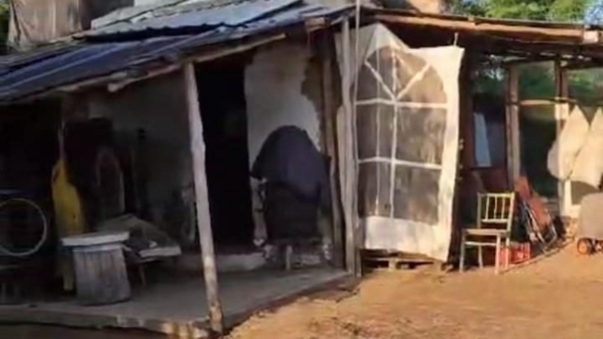 Victima trăia în condiții greu de descris 