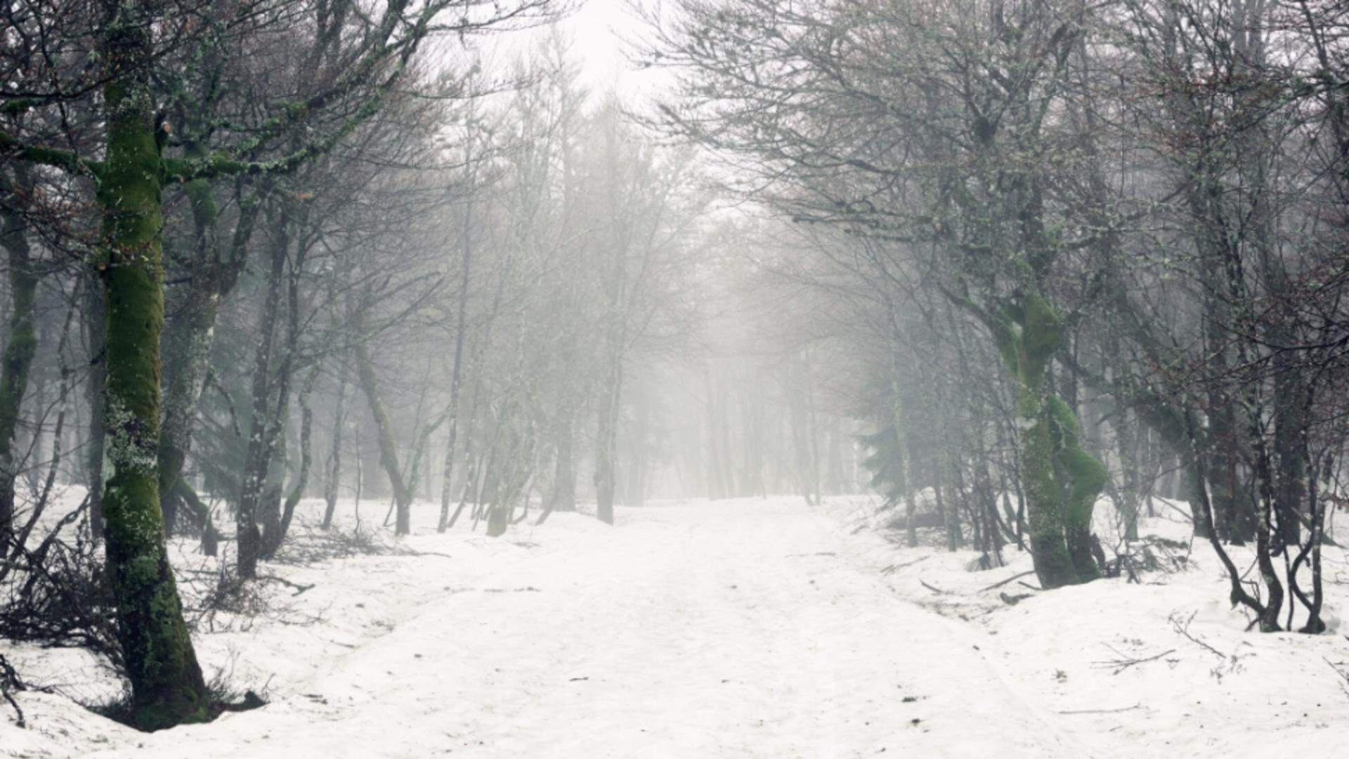 Vijelia își arată colții în vestul țării. ANM a emis COD GALBEN de vânt puternic în 2 județe