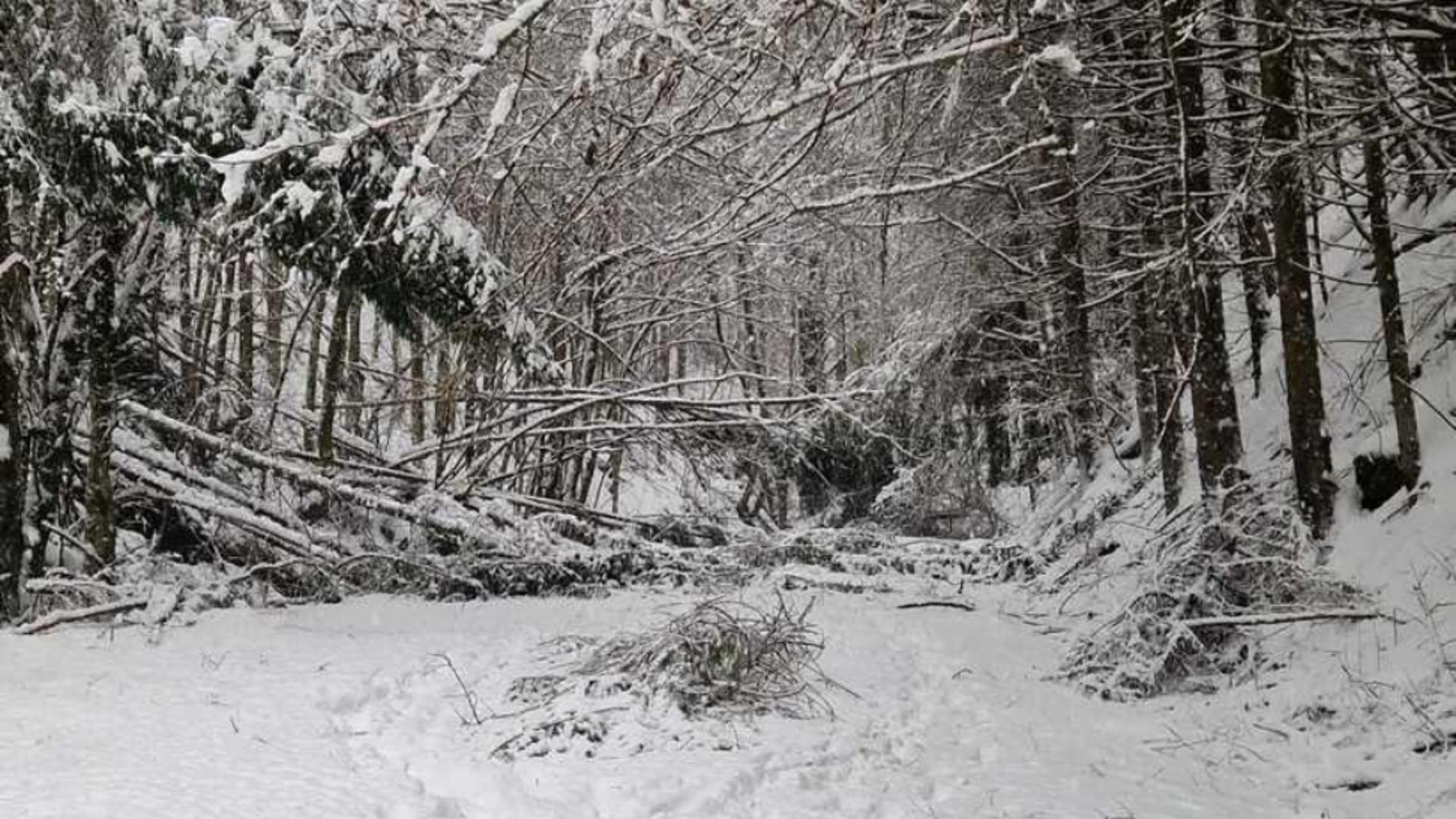 Hunedoara, sub efectele ninsorilor abundente: avarii la rețeaua electrică în cinci localități